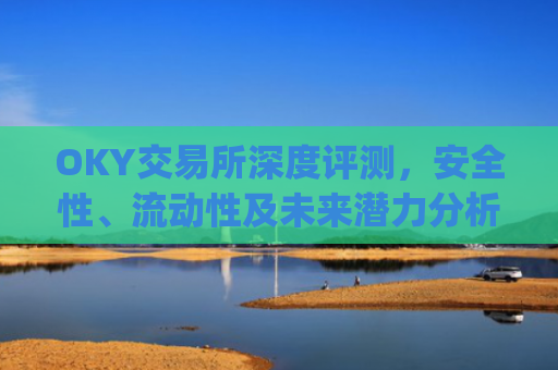 OKY交易所深度评测，安全性、流动性及未来潜力分析_ok.交易所
