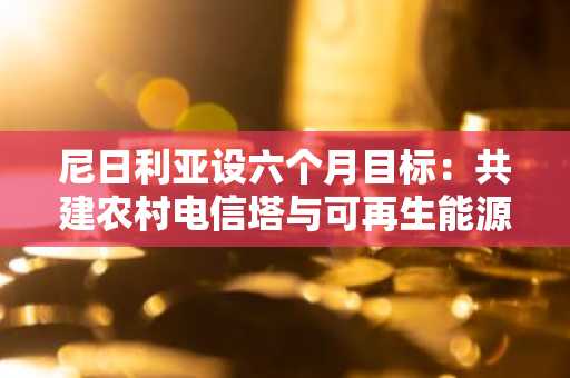 尼日利亚设六个月目标：共建农村电信塔与可再生能源网络