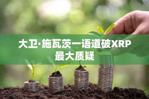 大卫·施瓦茨一语道破XRP最大质疑