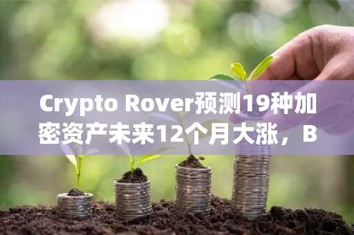 Crypto Rover预测19种加密资产未来12个月大涨,BTC目标14.5万美元