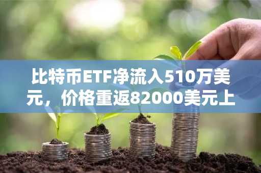 比特币ETF净流入510万美元，价格重返82000美元上方