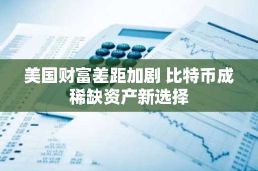美国财富差距加剧 比特币成稀缺资产新选择