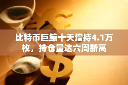 比特币巨鲸十天增持4.1万枚，持仓量达六周新高